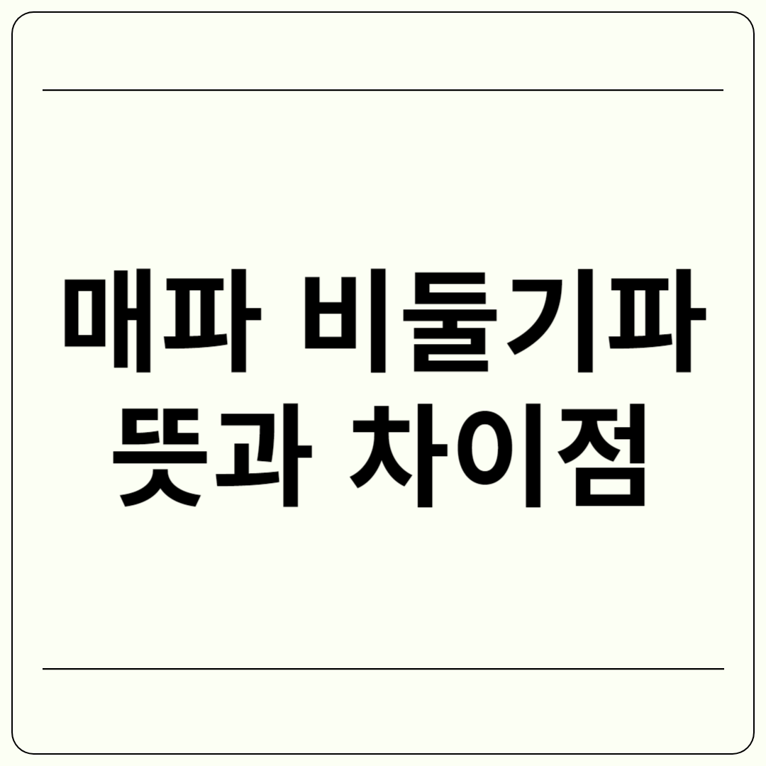 매파 비둘기파 뜻