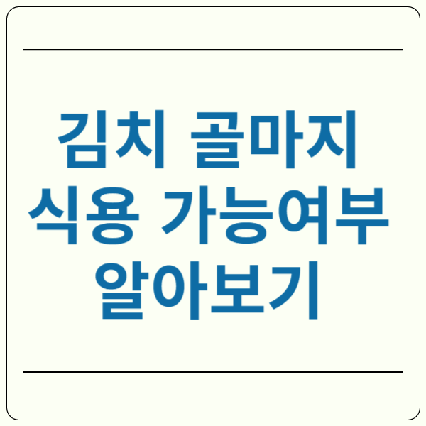 김치 골마지 하얀곰팡이