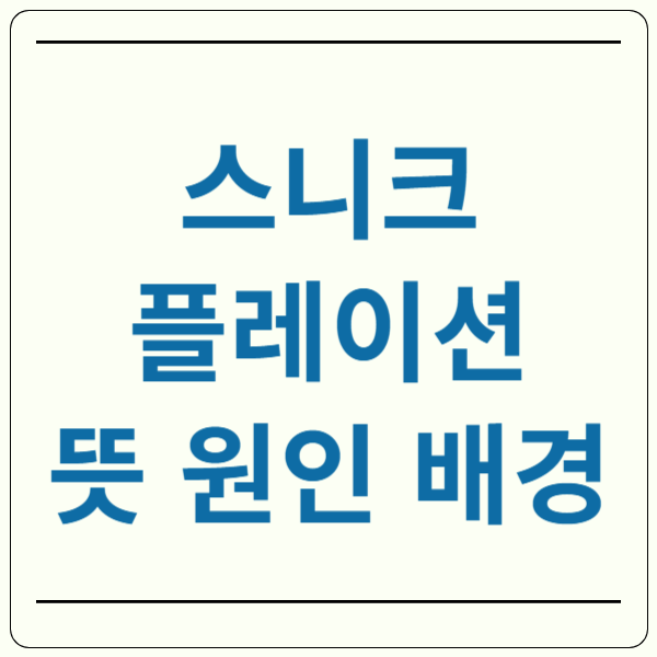 스니크플레이션 뜻