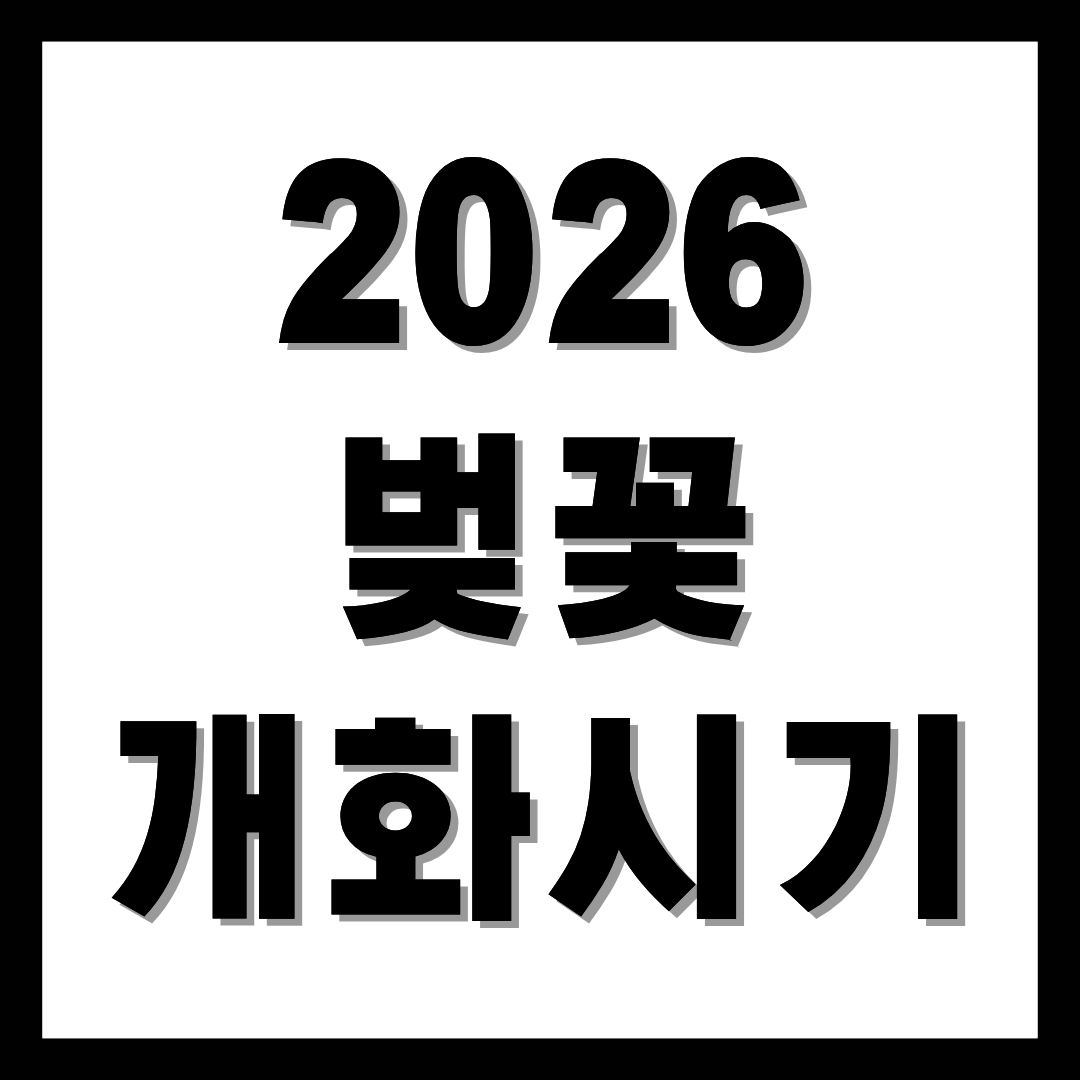 2026 벚꽃 개화시기