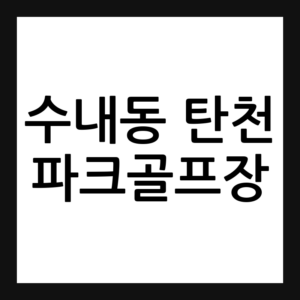 성남 수내동 탄천 파크골프장